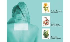 PAIN RELIEF PATCHES 