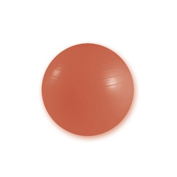 Burst Resistant Gym Balls