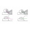 Orthopedic Pillow With Memory Technology 