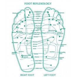 Detox Foot Patches - 10 x Premium Patches